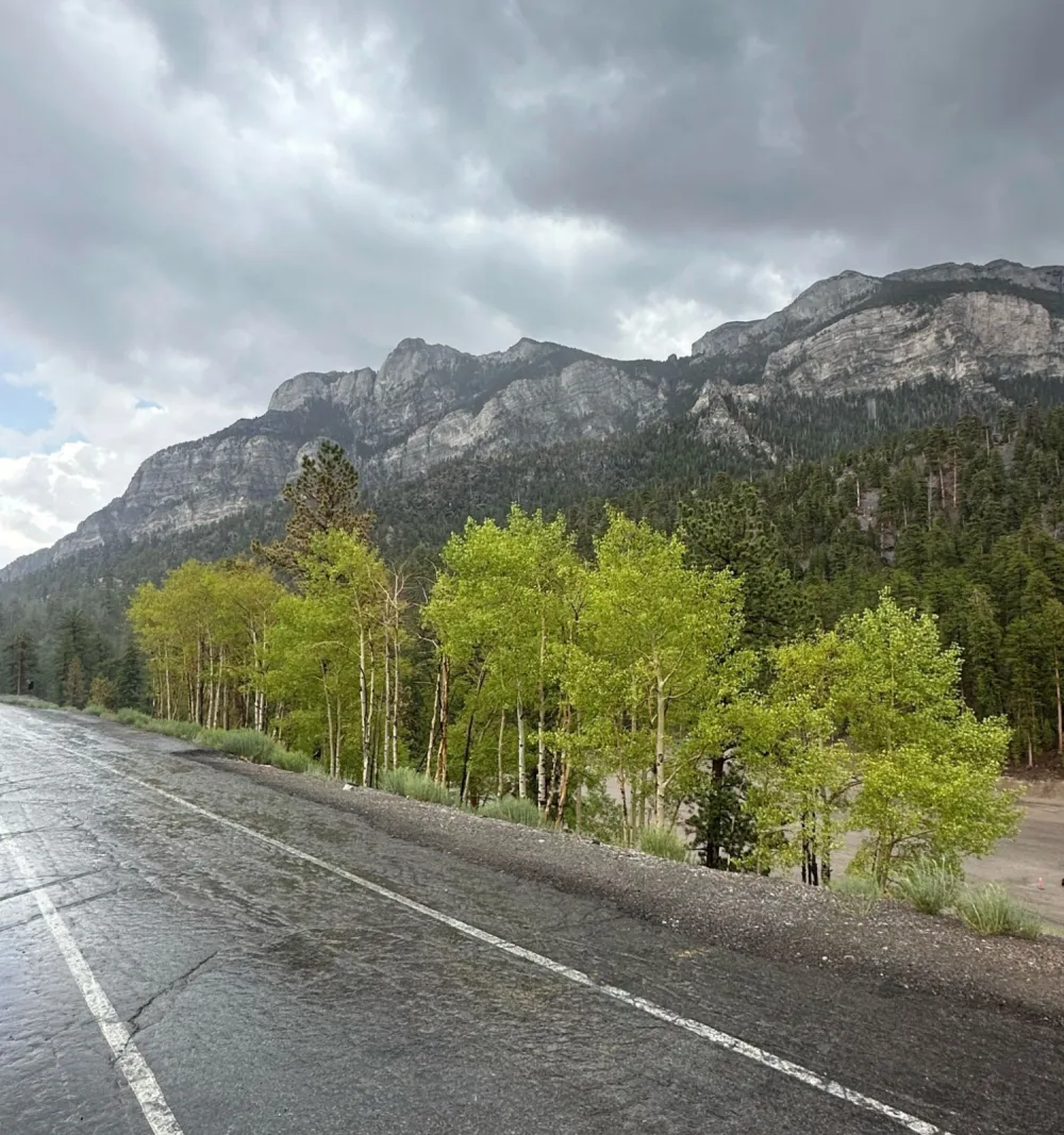 wet road, bright green aspens and storm clouds