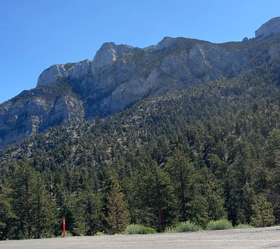 cliffs and pines at mt charleston under a blue sky